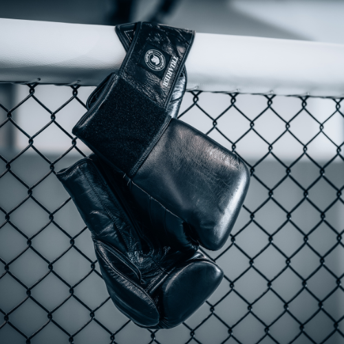 Gloves