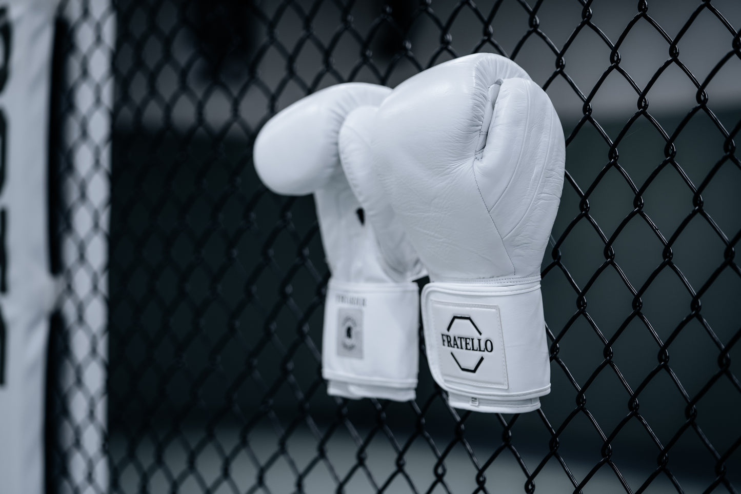 FRATELLO TRIARIER Boxing Gloves weiß