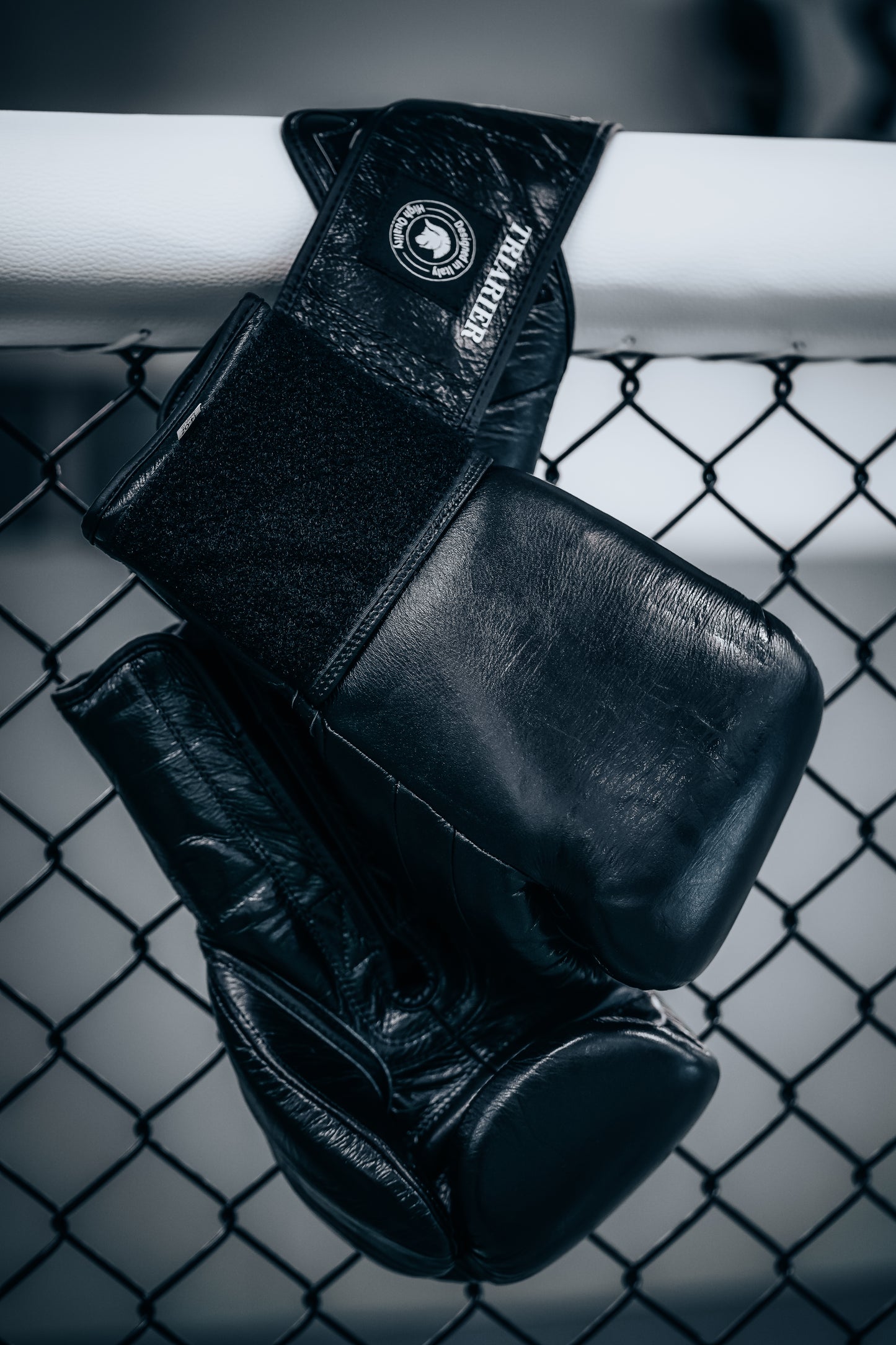 FRATELLO TRIARIER Boxing Gloves schwarz